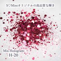SMint エスミント ミックス ホログラム 約1g H シリーズ H-20