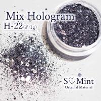 SMint エスミント ミックス ホログラム 約1g H シリーズ H-22