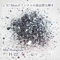 SMint エスミント ミックス ホログラム 約1g H シリーズ H-22