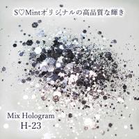 SMint エスミント ミックス ホログラム 約1g H シリーズ H-23