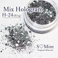 SMint エスミント ミックス ホログラム 約1g H シリーズ H-24