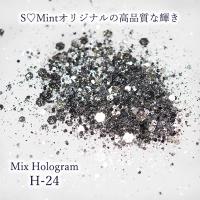 SMint エスミント ミックス ホログラム 約1g H シリーズ H-24