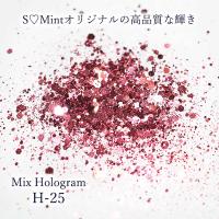 SMint エスミント ミックス ホログラム 約1g H シリーズ H-25
