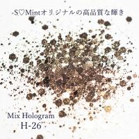 SMint エスミント ミックス ホログラム 約1g H シリーズ H-26