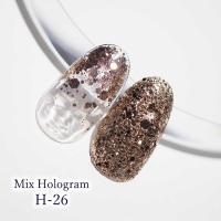 SMint エスミント ミックス ホログラム 約1g H シリーズ H-26