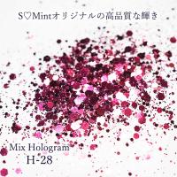 SMint エスミント ミックス ホログラム 約1g H シリーズ H-28
