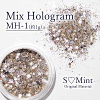 SMint エスミント ミックス ホログラム 約1g MHシリーズ MH-1