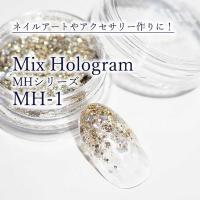 SMint エスミント ミックス ホログラム 約1g MHシリーズ MH-1