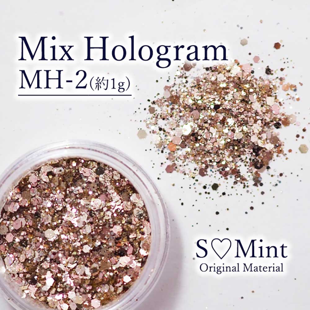 SMint エスミント ミックス ホログラム 約1g MHシリーズ MH-2