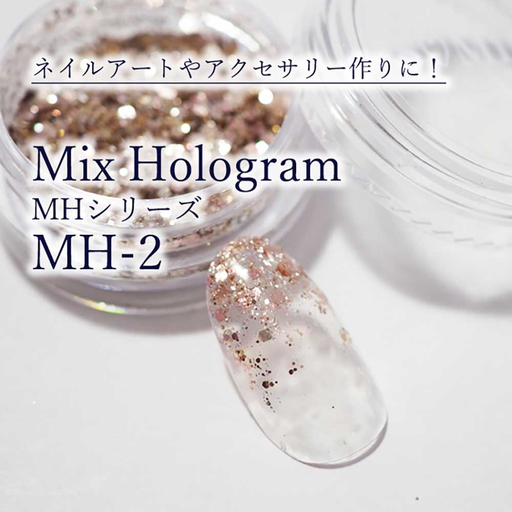 SMint エスミント ミックス ホログラム 約1g MHシリーズ MH-2