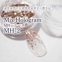 SMint エスミント ミックス ホログラム 約1g MHシリーズ MH-2