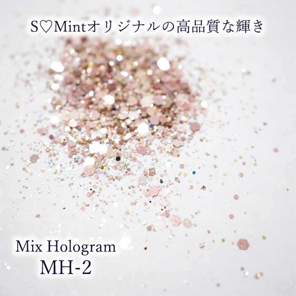 SMint エスミント ミックス ホログラム 約1g MHシリーズ MH-2