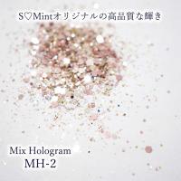 SMint エスミント ミックス ホログラム 約1g MHシリーズ MH-2