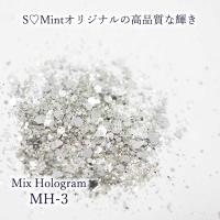 SMint エスミント ミックス ホログラム 約1g MHシリーズ MH-3