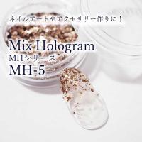 SMint エスミント ミックス ホログラム 約1g MHシリーズ MH-5