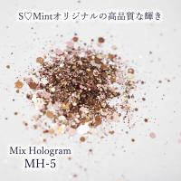 SMint エスミント ミックス ホログラム 約1g MHシリーズ MH-5