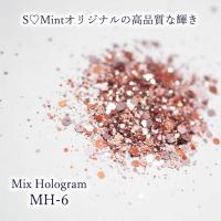 SMint エスミント ミックス ホログラム 約1g MHシリーズ MH-6