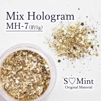 SMint エスミント ミックス ホログラム 約1g MHシリーズ MH-7