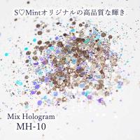 SMint エスミント ミックス ホログラム 約1g MHシリーズ MH-10