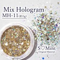 SMint エスミント ミックス ホログラム 約1g MHシリーズ MH-11