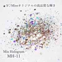 SMint エスミント ミックス ホログラム 約1g MHシリーズ MH-11