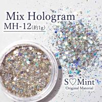 SMint エスミント ミックス ホログラム 約1g MHシリーズ MH-12
