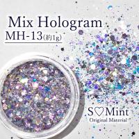 SMint エスミント ミックス ホログラム 約1g MHシリーズ MH-13