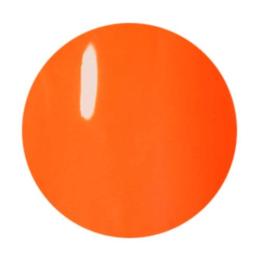 ●Dna Gel カラージェル 2.5g ネオンオレンジ