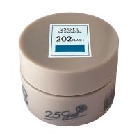 ■25GEL カラージェル 2.5g 202FLASH