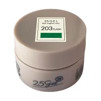 ■25GEL カラージェル 2.5g 203FLASH