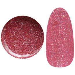 ■25GEL カラージェル 2.5g 205FLASH