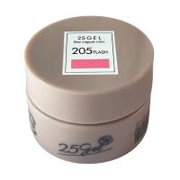 ●25GEL カラージェル 2.5g 205FLASH