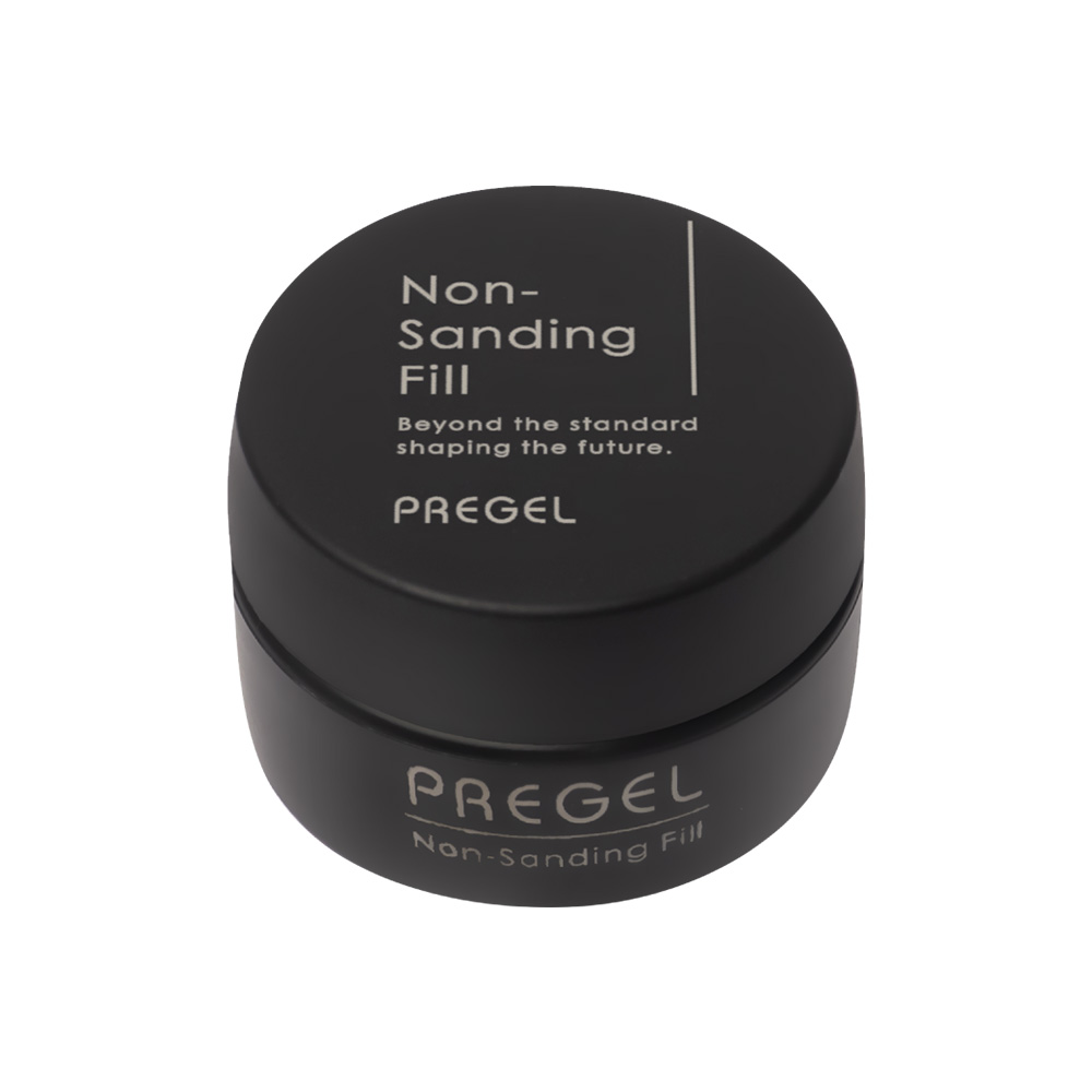 PREGEL ノンサンディングフィル 4g 工程表付き PG-NF-4QR