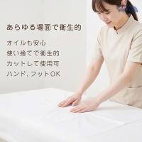 WSPT JAPAN 使い捨てペーパーシーツ 防水 50枚入り OA41736 ホワイト