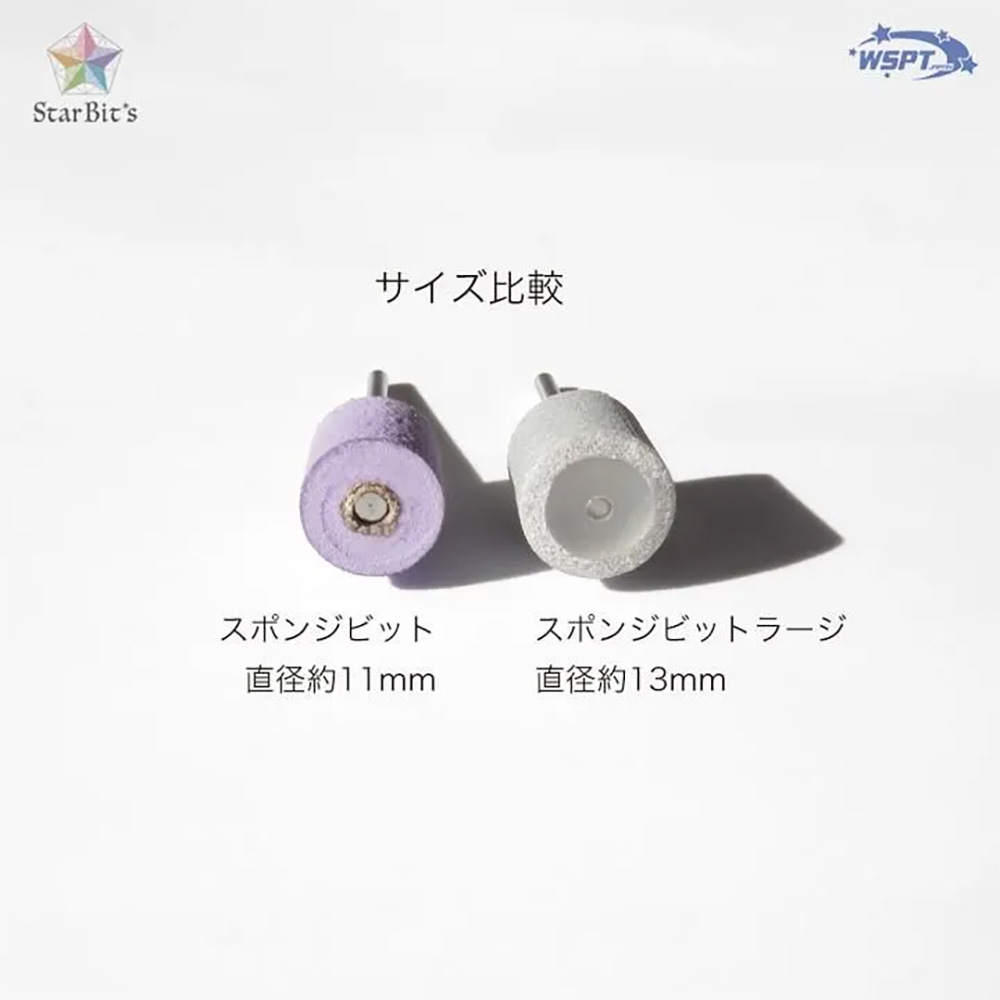 WSPT JAPAN スポンジビット ラージ #240 10個 専用軸つき BO81039