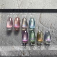 flicka nail arts フリッカマグジェル 5g mg009 ドーンピンク