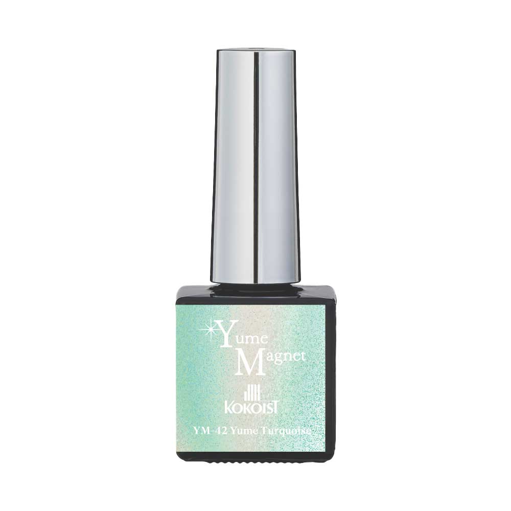 ココイスト ゆめマグネット 10ml YM-42 ユメターコイズ