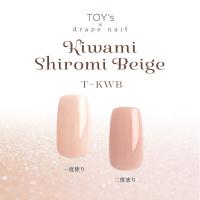 TOY's×INITY 極み白みベージュ 5g T-KWB