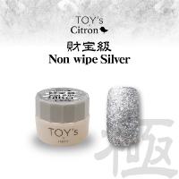 TOY's×INITY 極み財宝級ノンワイプシルバー 5g T-KZS