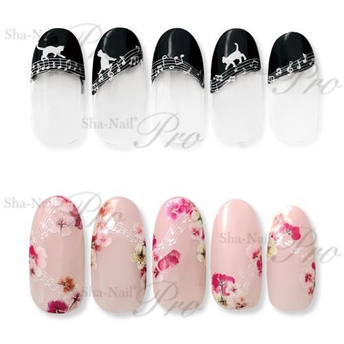 写ネイルPlusフレンチ ミュージックノーツ ホワイト FR-RMN02