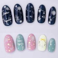 ツメキラ Snow Crystal シルバー SG-YUK-101(ジェル専用)