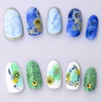 ツメキラ Dried flowers <cold color>　NN-DFC-101