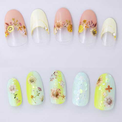 ツメキラ Dried flowers <warm color>　NN-DFC-102