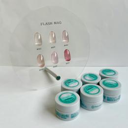 ●vibrant byPalmsGraceful FlashMAG6色セット+チップディスプレイ付き