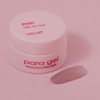 para gel プレイフルカラージェル 3g PN01 テイクマイローズ