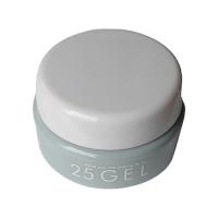 25GEL カラージェル 4g 227MAG