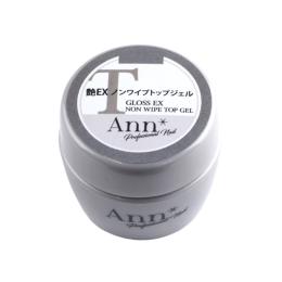 Ann Professional 艶EXノンワイプトップジェル 10g #6040