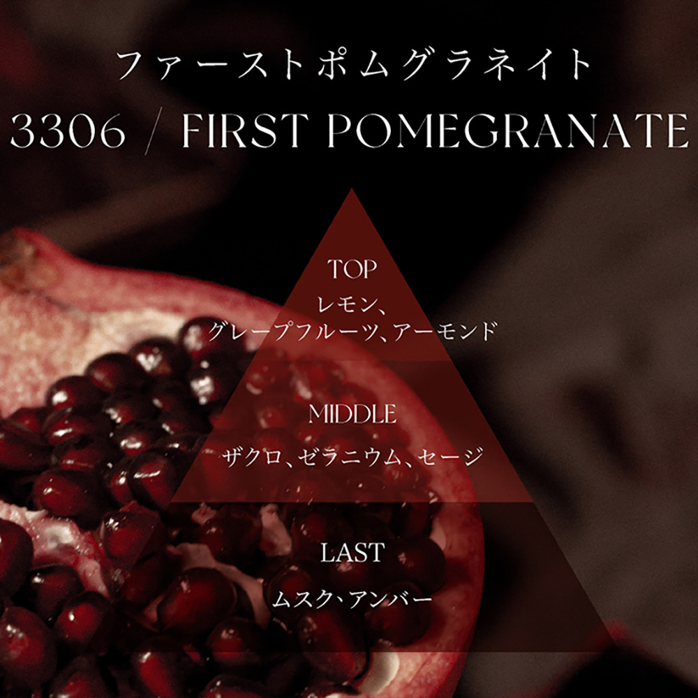 ARTIS di Voce ハンドウォッシュ 220ml 3306 ファーストポムグラネイト