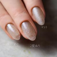 rieugel カラージェル 2.5g N°85F セクシー