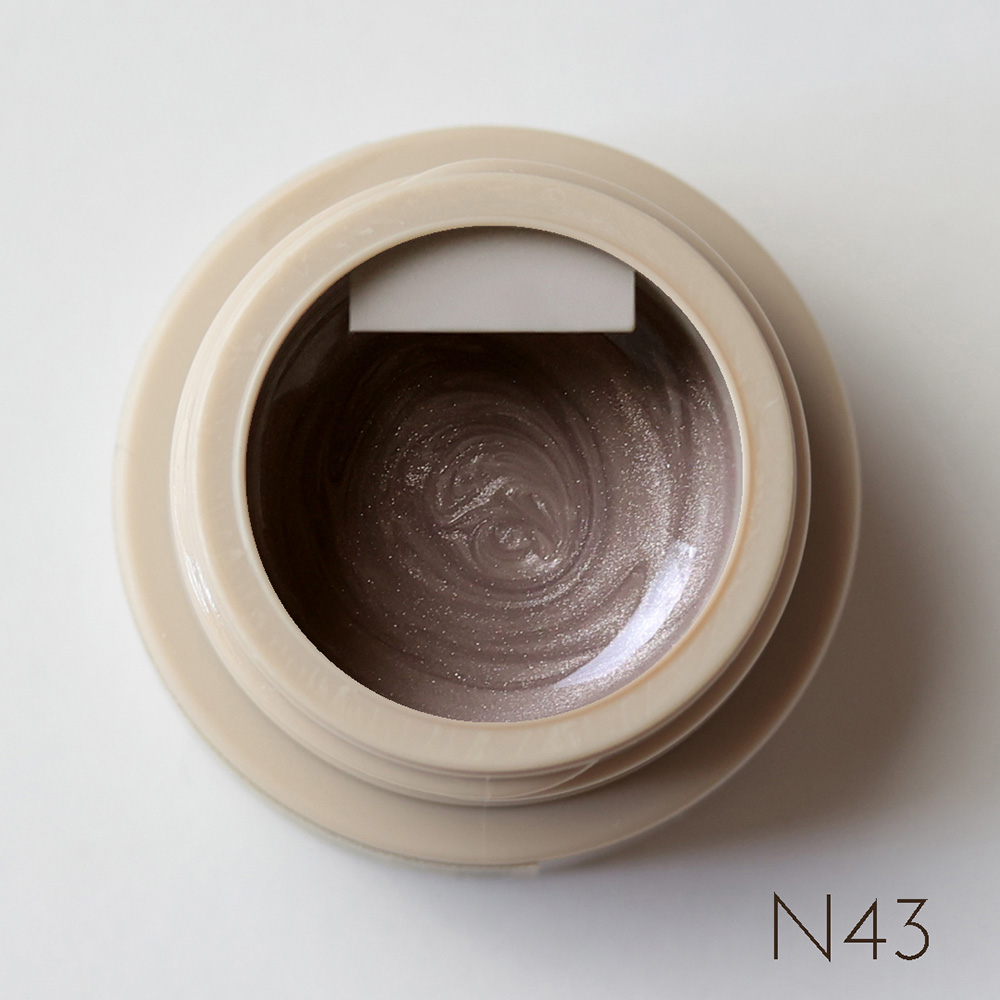 rieugel カラージェル 2.5g N43 ガチベベ
